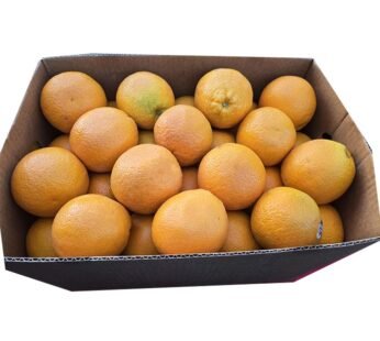 Australian Mango 64 Count