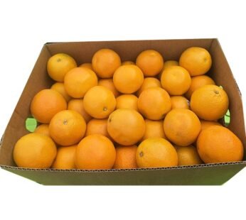 Australian mango Count 138